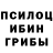 Псилоцибиновые грибы Psilocybe Irina Gilde
