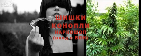 бошки Лагань