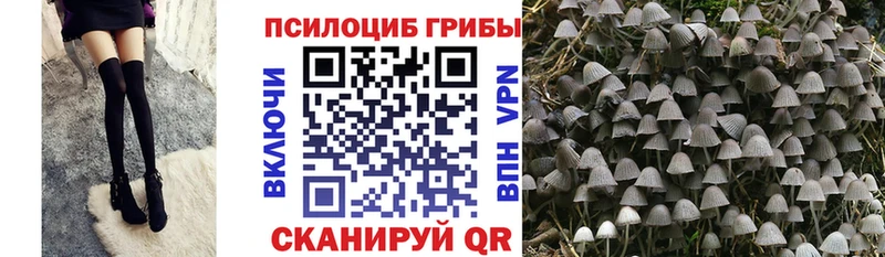 нарко площадка какой сайт  Снежинск  Галлюциногенные грибы ЛСД 
